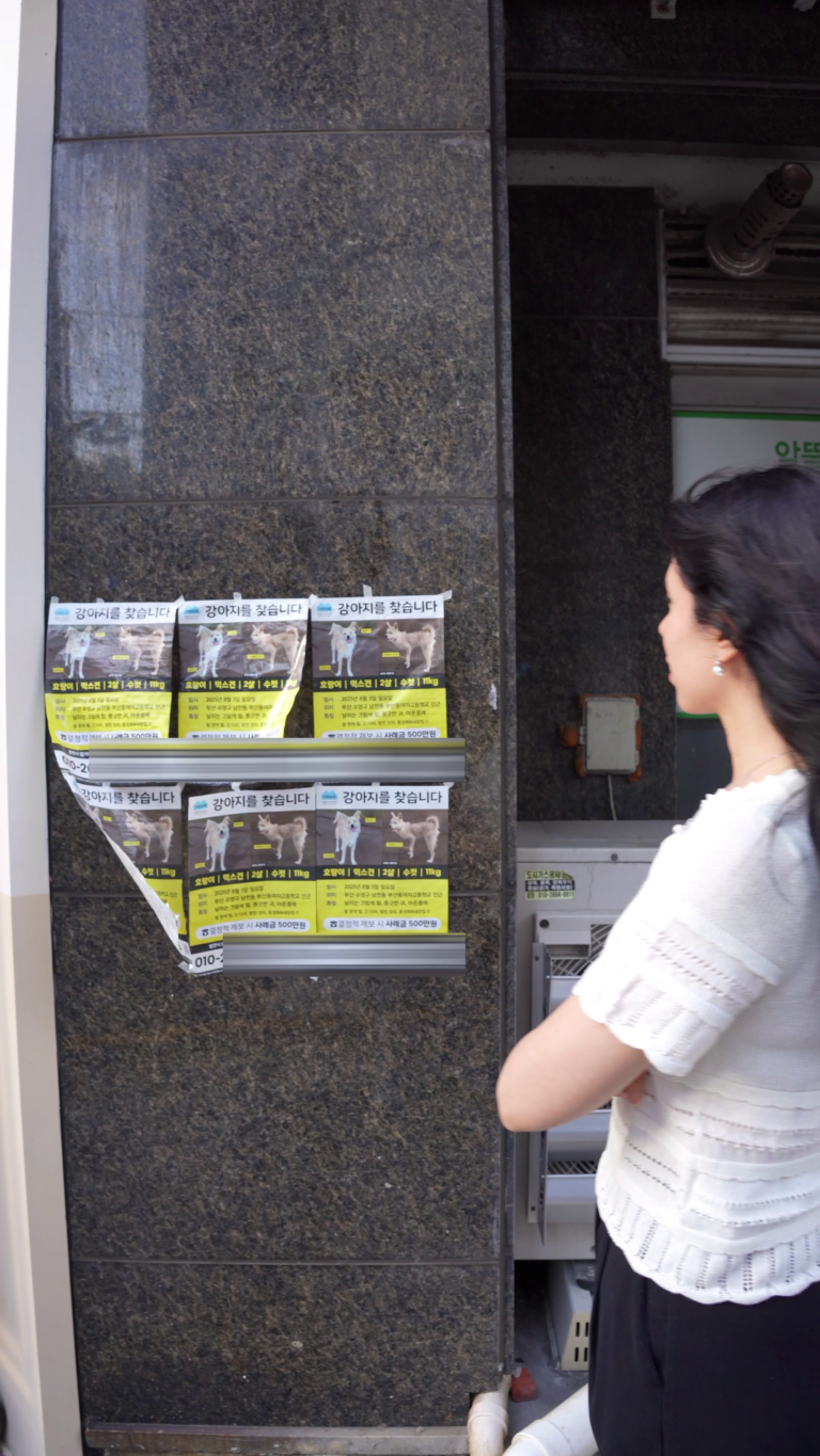 28. En Corea dan $3,500 de recompensa por un perro perdido