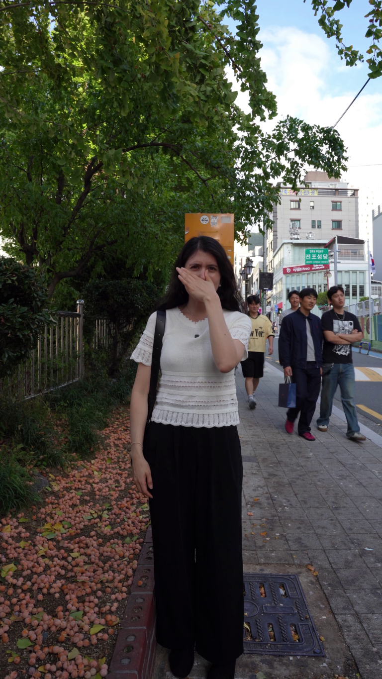 29. ¿Por qué Corea huele tan mal en otoño?